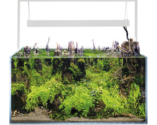 Aquarium AQUAEL UltraScape 90 avec éclairage LED env. 243 l verre optique, verre blanc, sans meuble bas snow