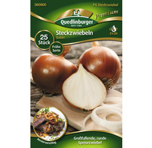 Packung Steckzwiebeln der Sorte Goblin