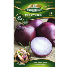 Verpackung rote Speisezwiebeln der Sorte Pinotage