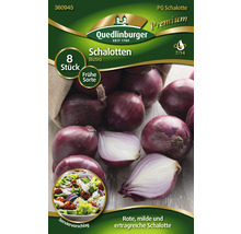 Verpackung Schalotten der Sorte Biztro von Quedlinburger, Inhalt acht Stück