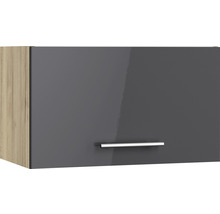 Hängeschrank mit Tür und Griff