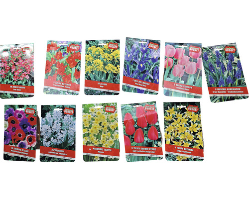 Divers bulbes de fleurs en emballages pour le jardin.