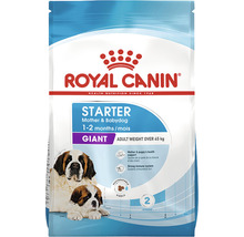 Royal Canin Starter Hundetrockenfutter für Mutter und Baby, geeignet für sehr große Rassen über 45 Kilogramm, empfohlen für Hunde im Alter von ein bis zwei Monaten.