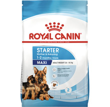 Hundefutter trocken ROYAL CANIN Maxi Starter für tragende Hündin und Welpen großer Rassen 15 kg