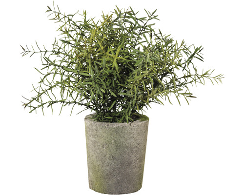 Plante artificielle romarin dans un pot en ciment Ø 15 cm hauteur : 30 cm vert