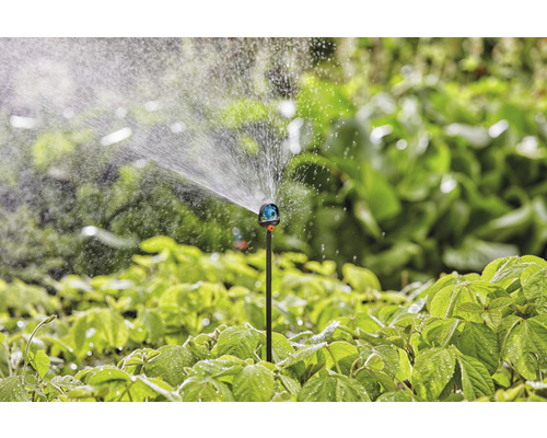 Scène de jardin avec arroseur de pelouse arrosant des plantes