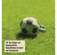 Ballon de football et chaussures de football sur une pelouse dans le jardin