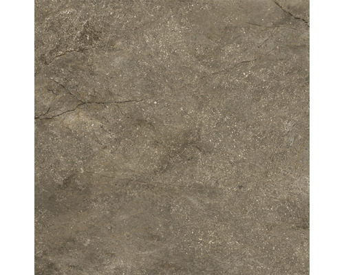 Carrelage aspect pierre