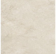 Carrelage sol et mur en grès-cérame fin Wells 60 x 60 x 0,95 cm cream beige brillant rectifié