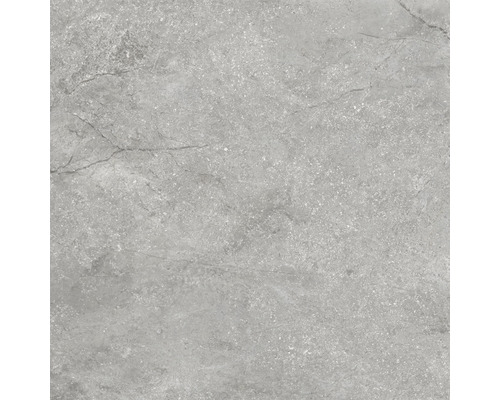 Carrelage sol et mur en grès-cérame fin Wells 60 x 60 x 0,95 cm pearl gris brillant rectifié