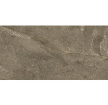 Carrelage sol et mur en grès-cérame fin Wells 60 x 120 x 1,05 cm moka marron brillant rectifiée
