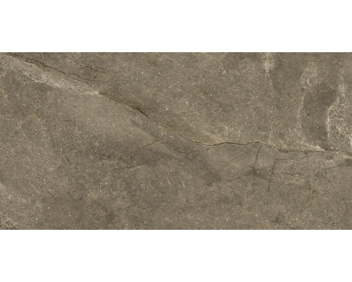 Carrelage sol et mur en grès-cérame fin Wells 60 x 120 x 1,05 cm moka marron brillant rectifiée Carrelage sol et mur en grès-cérame fin Wells 60 x 120 x 1,05 cm moka marron brillant rectifiée