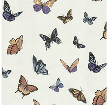 Papier peint intissé 31-175 Julien MacDonald Flutterby blanc