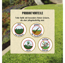 Avantages du produit : vert dense et saturé, adapté aux sols sablonneux, robuste, élimine les mauvaises herbes