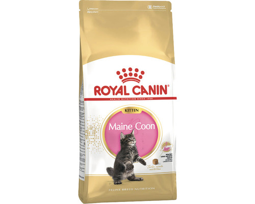 Emballage de nourriture sèche pour chatons Royal Canin Maine Coon