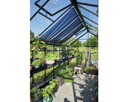 Vue intérieure d''une serre avec des plantes et un système d''ombrage