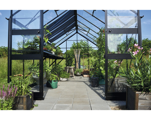 Serre avec plantes et outils de jardinage