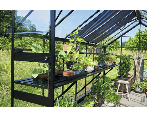 Serre avec plantes et étagères dans le jardin