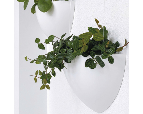 Wandbild mit Pflanzen in weißen Blumentöpfen