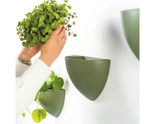 Szene mit einer Person, die eine grüne Pflanze in einen grünen Wandblumentopf setzt.