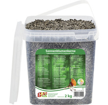 Eimer Sonnenblumenkerne als Ergänzungsfutter für freilebende Vögel