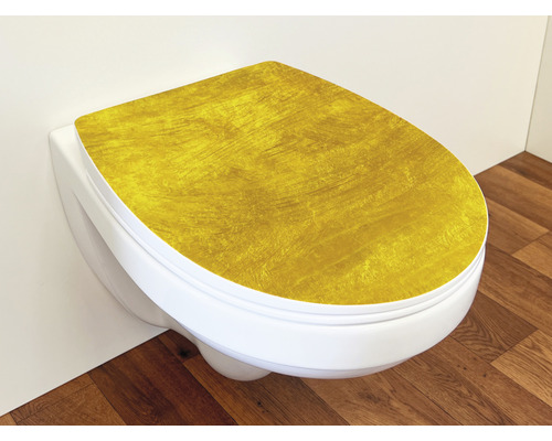 Wand-WC mit Toilettensitz