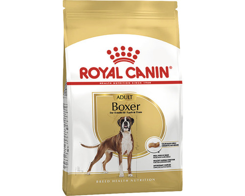 Royal canin hot sale boxer 26