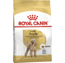Royal Canin Adult Poodle nourriture pour chiens pour caniches adultes