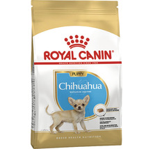 Hundefutter trocken ROYAL CANIN Chihuahua Puppy Welpenfutter 500 g
