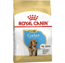 Royal Canin aliment pour chiots Cocker pour chiens jusqu''à 12 mois