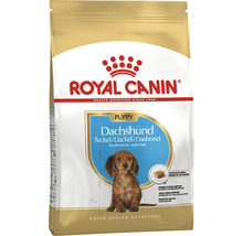 Royal Canin Welpenfutter für Dackel