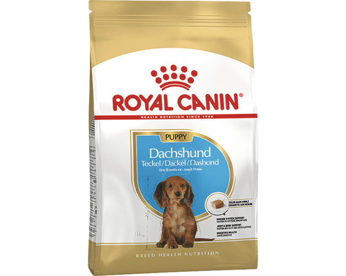Royal Canin Welpenfutter für Dackel