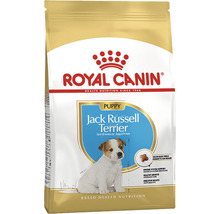 Croquettes pour chien, ROYAL CANIN Jack Russel Junior 1.5 kg