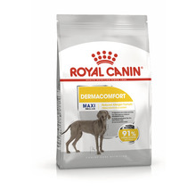 Royal Canin Derma Comfort Maxi Aliment sec pour chien, emballage