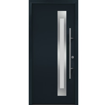 Porte d''entrée avec fenêtre verticale et poignée