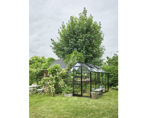 Serre de jardin avec plantes et mobilier de jardin