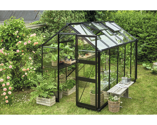 Serre avec plantes dans le jardin