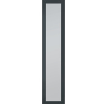 Innentür mit Glaseinsatz