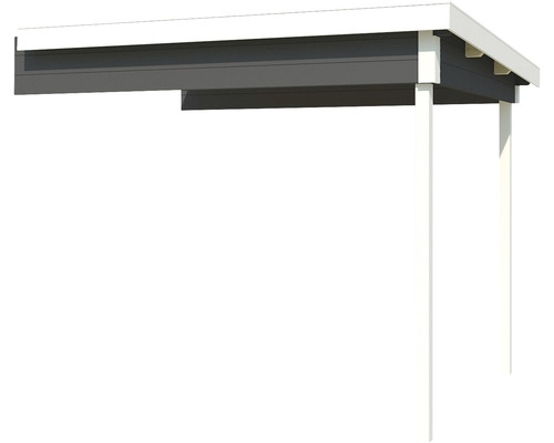 Carport avec toit plat et poteaux