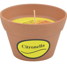 Bougie dans coupe en argile Citronella Ø 11,5 cm H 7,5 cm terre cuite-thumb-0
