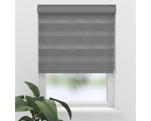 Graues Doppelrollo am Fenster zur Lichtregulierung