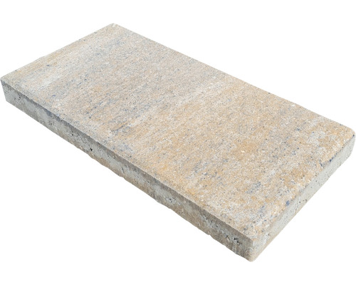Dalle de terrasse en béton iStone Alive calcaire coquillier 40 x 20 x 4 cm Pavé en béton