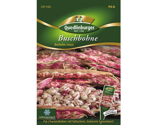 Haricots nains Borlotto rosso Quedlinburger semences stables graines de légumes Paquet de graines de haricots nains Borlotto rosso de la marque Quedlinburger