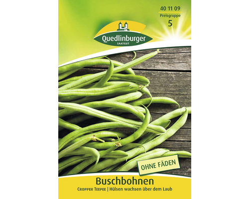 Haricots nains Cropper Teepee Quedlinburger semences stables graines de légumes Sachet de graines de haricots verts de la marque Quedlinburger