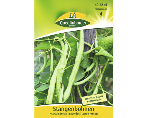 Haricots communs Neckarkönigin Quedlinbourg semences résistantes graines de légumes Paquet de graines de haricots grimpants Neckarkönigin de Quedlinburger Saatgut