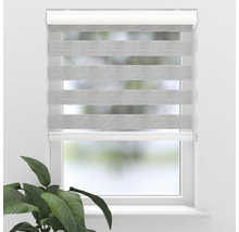 Fenster mit grauem Doppelrollo