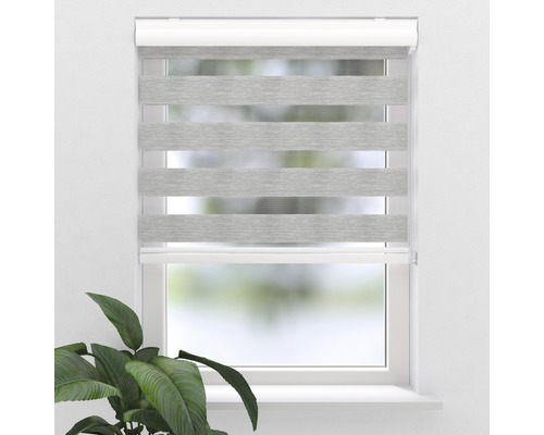Store jour/nuit SOLUNA D-R7 avec caisson blanc structure transparent gris 40x175 cm Fenêtre avec store enrouleur double gris