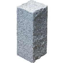 Grauer Pflasterstein