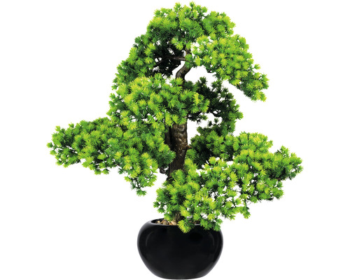 Plante artificielle mélèze bonsaï hauteur : 60 cm vert