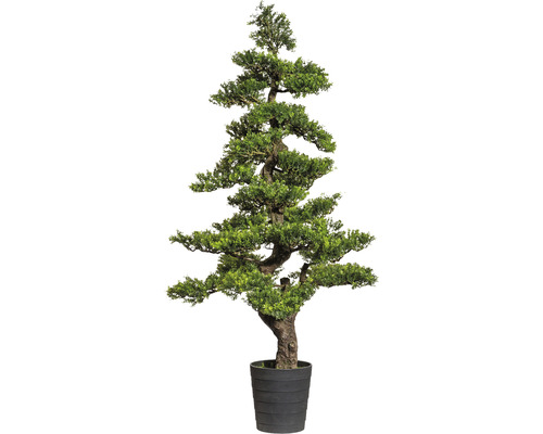 Plante artificielle bonsaï feuille de thé hauteur : 160 cm vert